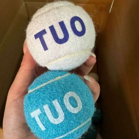 Custom Tennis Balls with Logo | Branded Tennis Ball Pro...