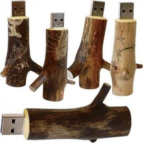 Custom USB Sticks with Logo | Personalized USB Drives