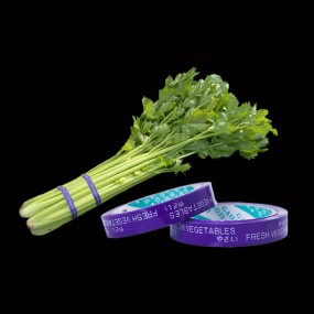 Custom Logo Tape – Affordable Printed Adhesive Tape