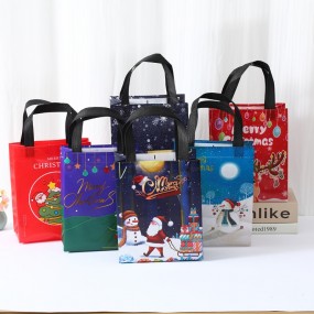 Custom Non-Woven Bags with Logo Printing | Personalized...